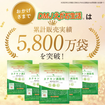 カテキン減脂粒お試し